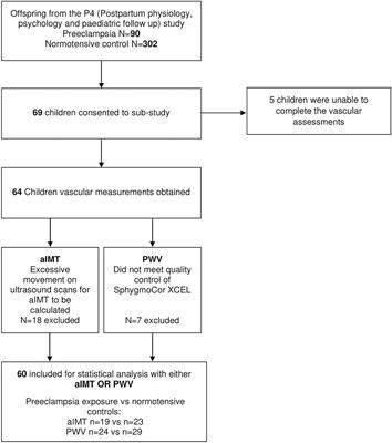 Intrauterine exposure to preeclampsia does not impair vascular health in children